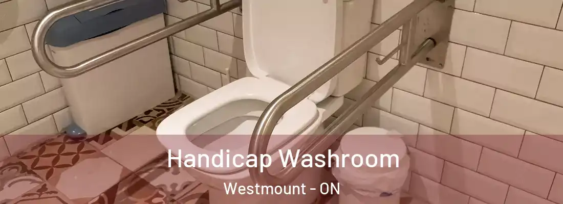  Handicap Washroom Westmount - ON