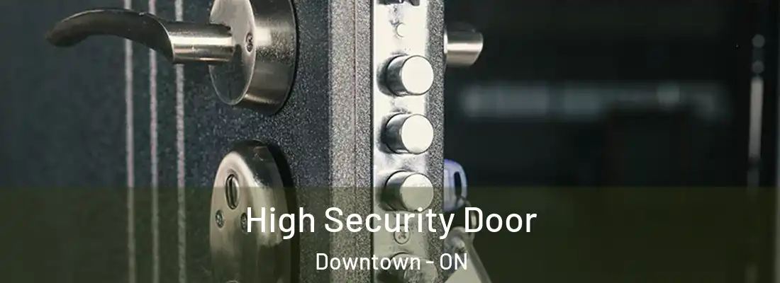  High Security Door Downtown - ON