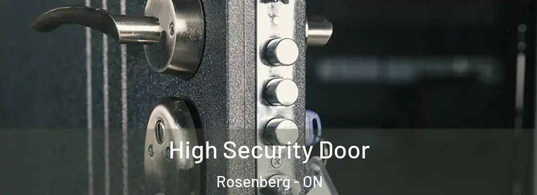  High Security Door Rosenberg - ON