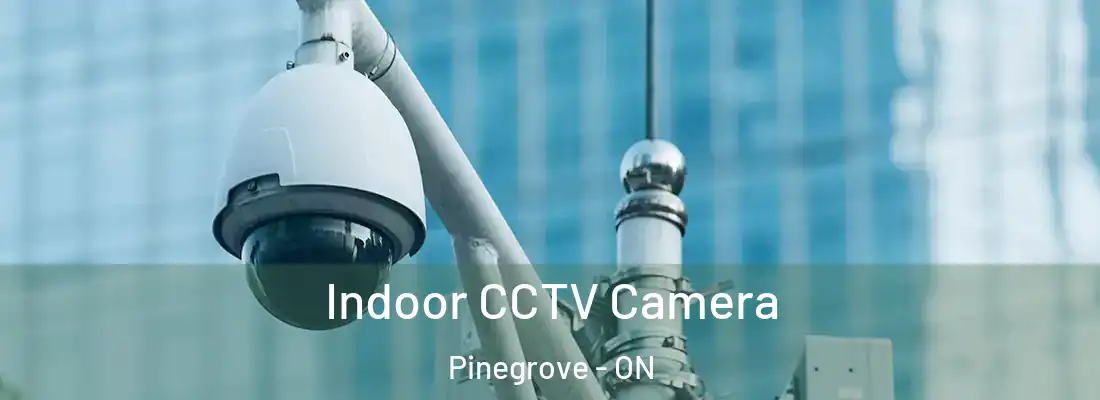  Indoor CCTV Camera Pinegrove - ON