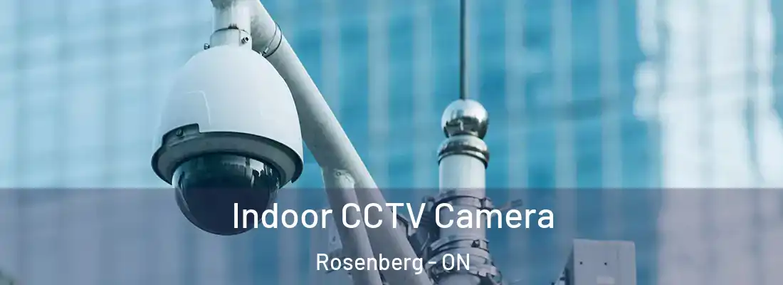  Indoor CCTV Camera Rosenberg - ON