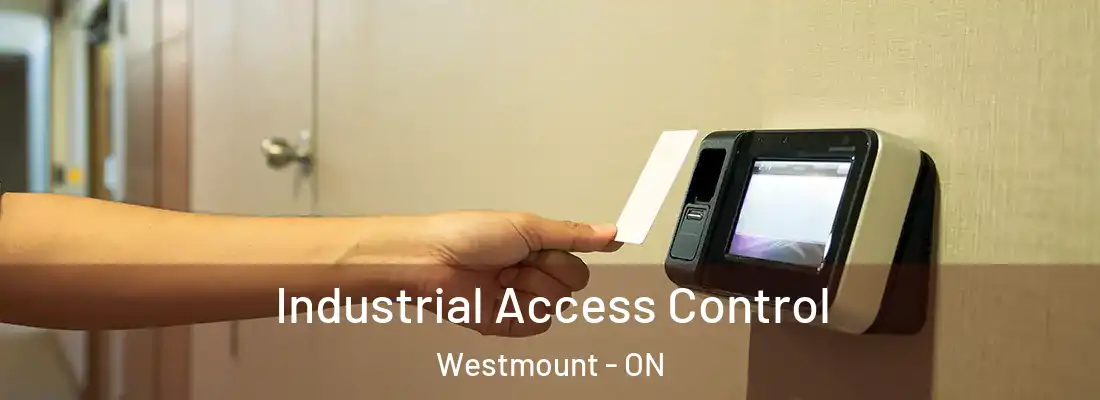  Industrial Access Control Westmount - ON