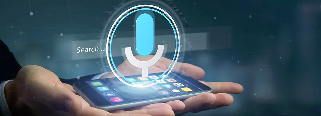 Enhance Security with Voice Recognition Access Systems in Chicopee, ON