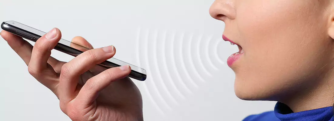 Residential and Commercial Voice Recognition Access Solutions in Chicopee, ON