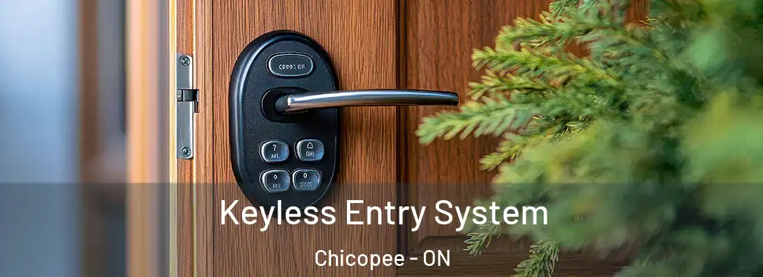  Keyless Entry System Chicopee - ON