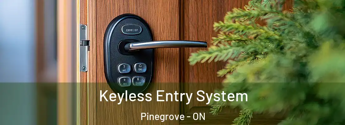  Keyless Entry System Pinegrove - ON