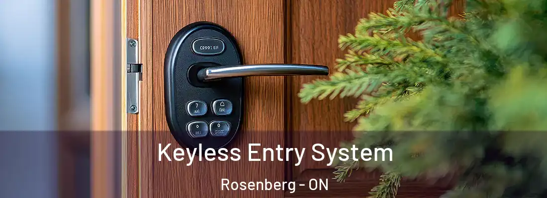  Keyless Entry System Rosenberg - ON