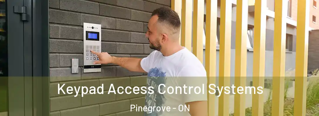  Keypad Access Control Systems Pinegrove - ON