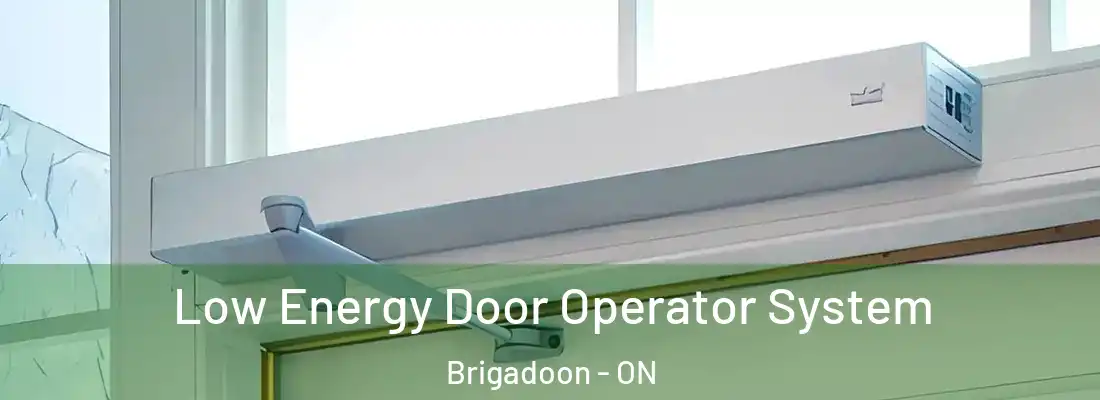  Low Energy Door Operator System Brigadoon - ON