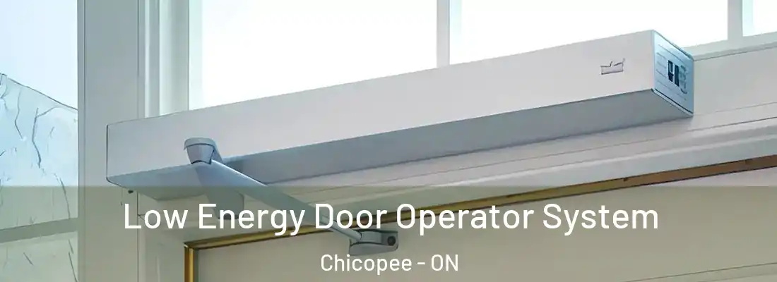  Low Energy Door Operator System Chicopee - ON