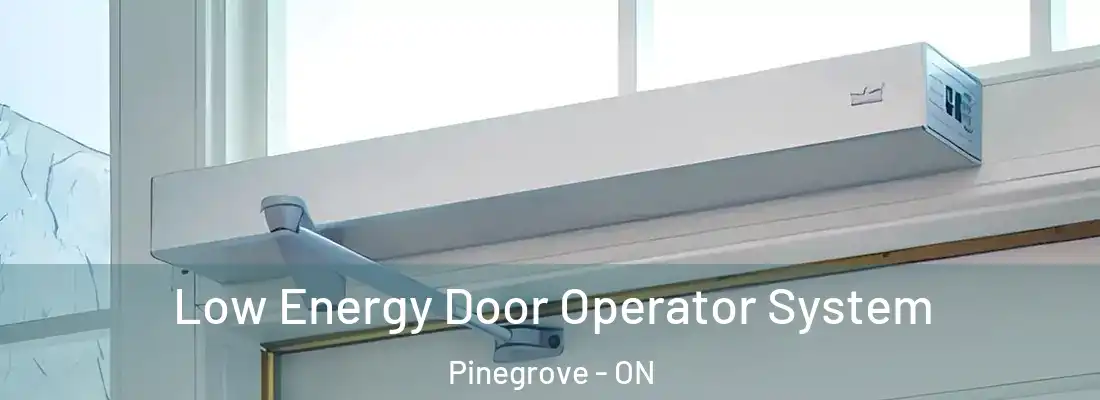  Low Energy Door Operator System Pinegrove - ON