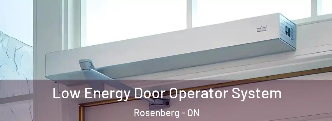  Low Energy Door Operator System Rosenberg - ON