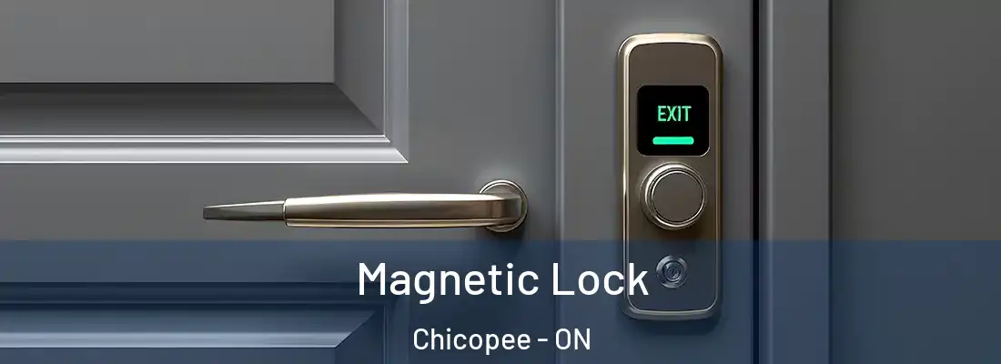  Magnetic Lock Chicopee - ON