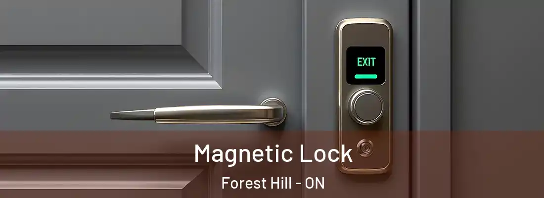  Magnetic Lock Forest Hill - ON