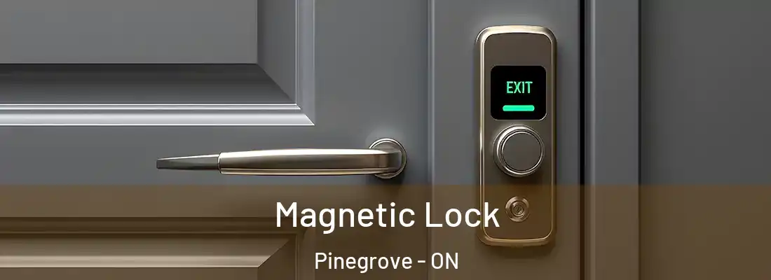  Magnetic Lock Pinegrove - ON
