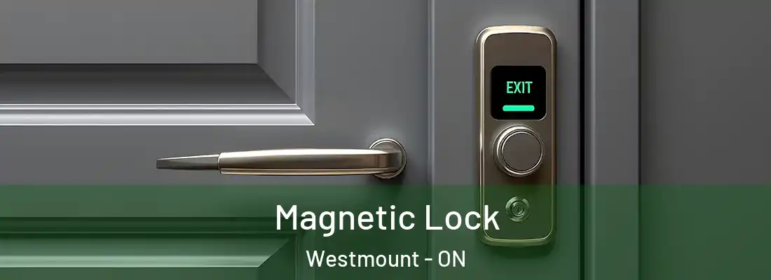  Magnetic Lock Westmount - ON