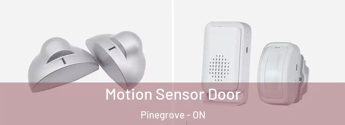  Motion Sensor Door Pinegrove - ON