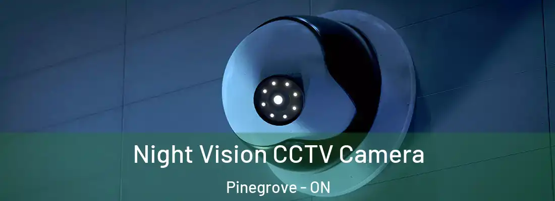  Night Vision CCTV Camera Pinegrove - ON