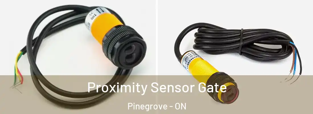  Proximity Sensor Gate Pinegrove - ON