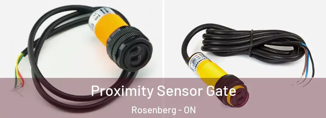  Proximity Sensor Gate Rosenberg - ON