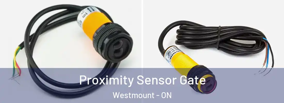  Proximity Sensor Gate Westmount - ON