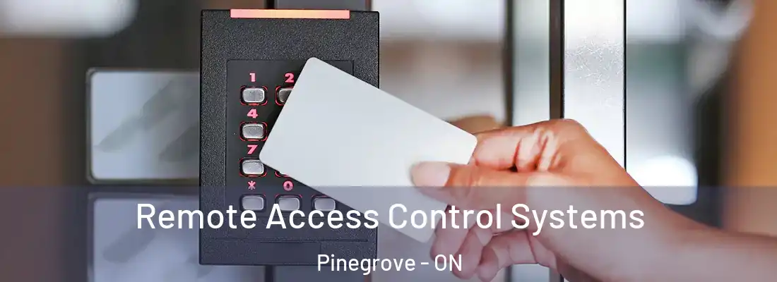  Remote Access Control Systems Pinegrove - ON