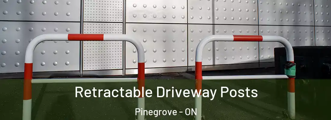  Retractable Driveway Posts Pinegrove - ON