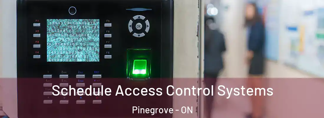  Schedule Access Control Systems Pinegrove - ON