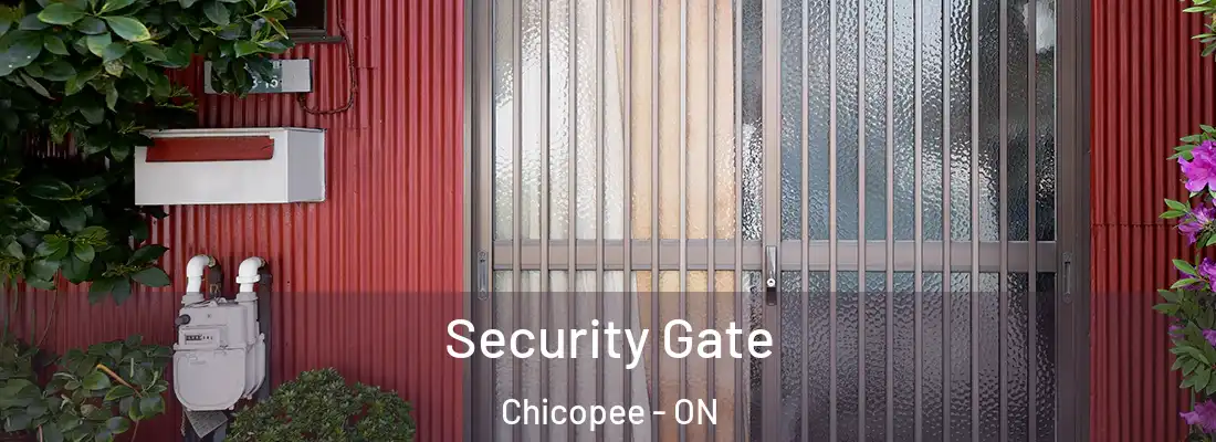  Security Gate Chicopee - ON