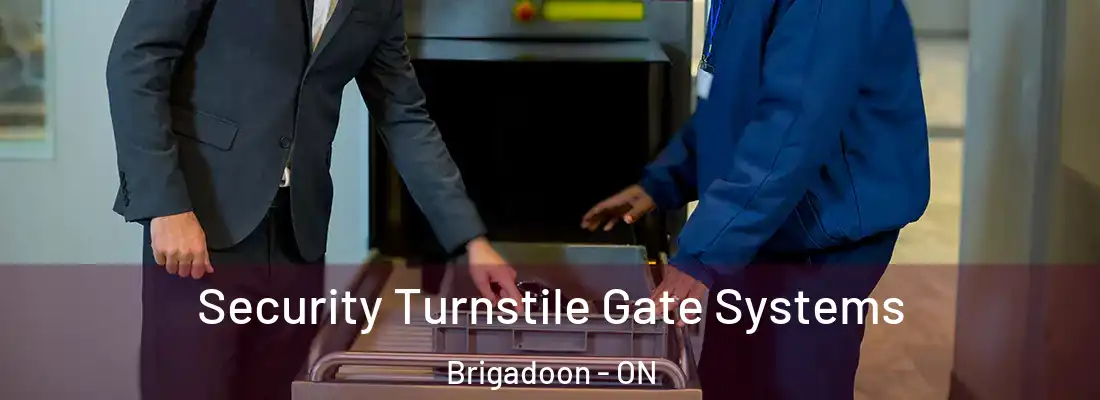  Security Turnstile Gate Systems Brigadoon - ON