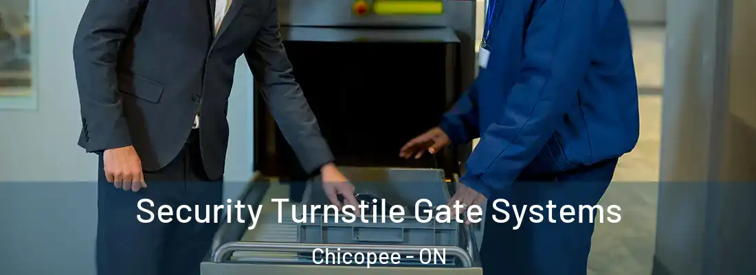  Security Turnstile Gate Systems Chicopee - ON