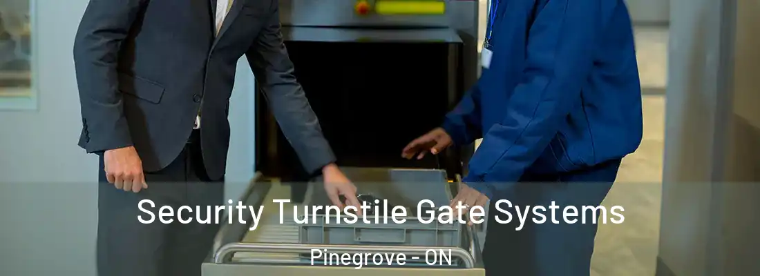  Security Turnstile Gate Systems Pinegrove - ON