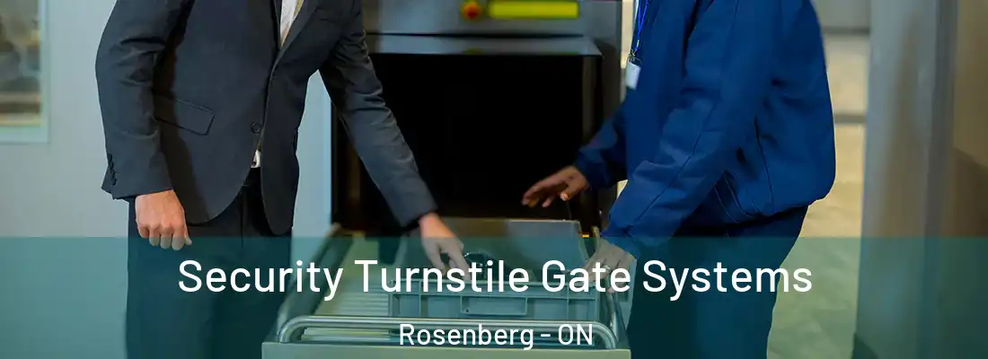  Security Turnstile Gate Systems Rosenberg - ON