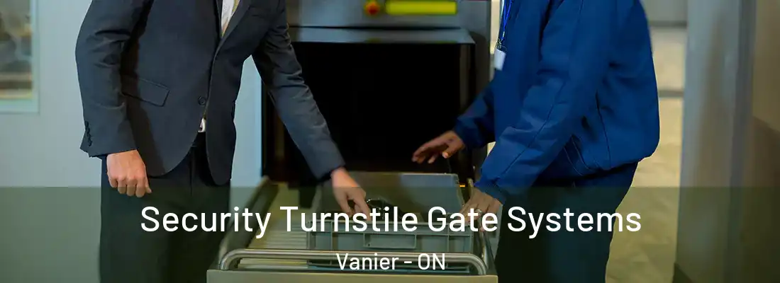  Security Turnstile Gate Systems Vanier - ON