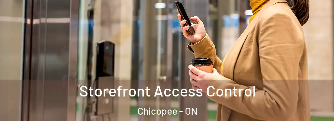  Storefront Access Control Chicopee - ON