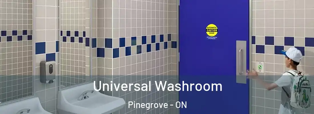  Universal Washroom Pinegrove - ON