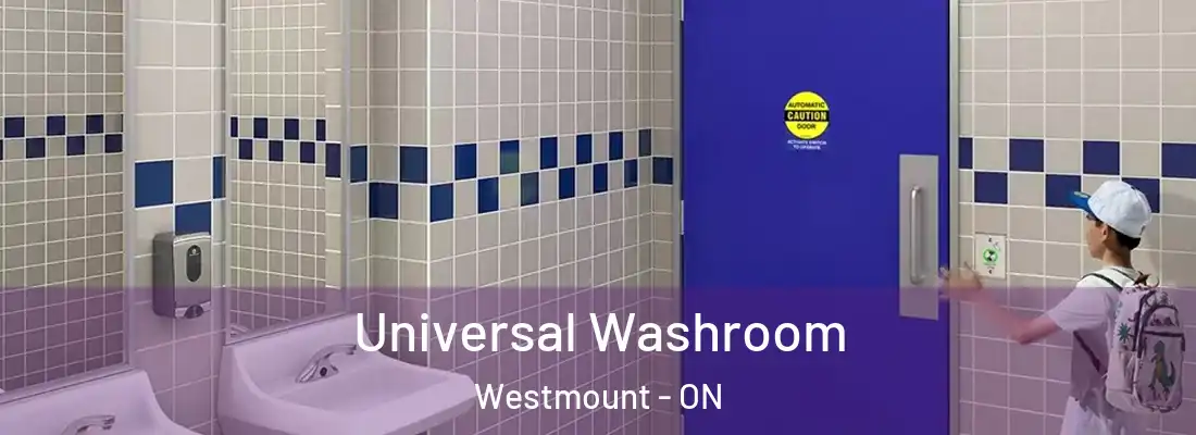  Universal Washroom Westmount - ON