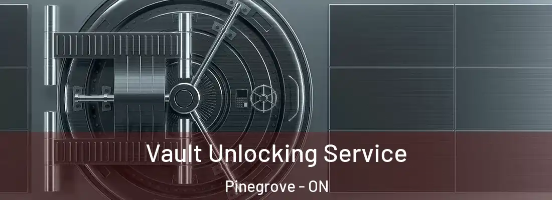  Vault Unlocking Service Pinegrove - ON