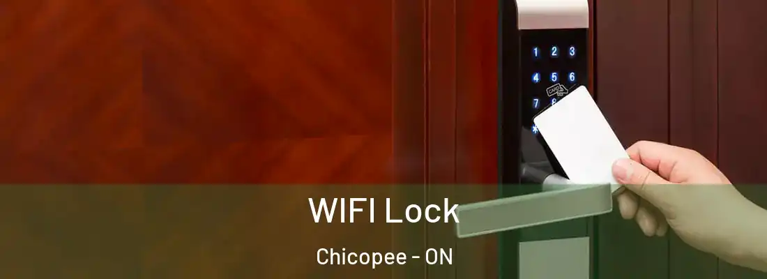  WIFI Lock Chicopee - ON